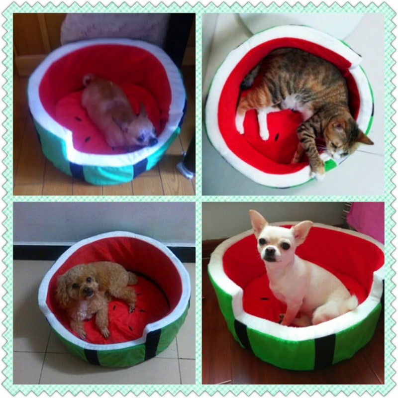 Creative Watermelon Dog & Cat Pet Bed